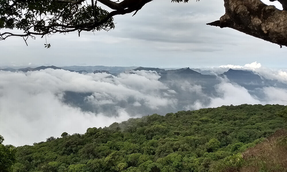harichandragad5
