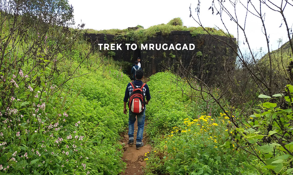 trek-to-murgagad