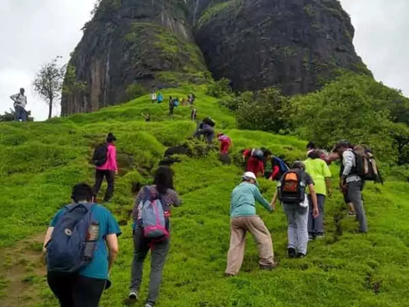 sarasgad sarasgad
