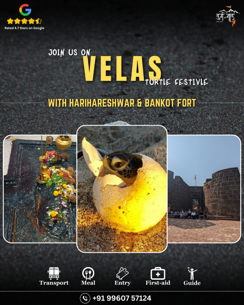 Velas Turtle Festival & Bankot Fort & Harihareshwer 
Cost (From Pune) : 1799/- Per Person 
When? March- 14-15/ 15-16/ 28-29/ 29-30   
            April- 04-05/ 05-06/ 11-12/ 12-13   
Base :Velas, Maharashtra
